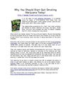 Why You Should Start Quit Smoking Marijuana Today!