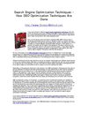 Search Engine Optimization Techniques - How SEO Optimization Techniques Are Done