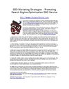 SEO Marketing Strategies - Promoting Search Engine Optimization SEO Service