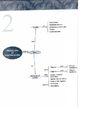 Metdología de la Investigación. Cap 2