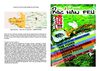 Dossier de presse 2010 - roc'han feu