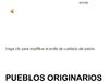 Pueblos Originarios