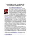 Professional Internet Marketing Tips - Search Engine Optimization Tips