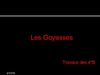 Les Goyasses