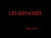 Les goyasses (suite)