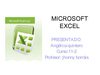 MICROSOFT EXCEL