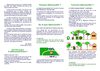 Guide du débrousaillement