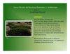 UFCD3 - Dendrologia Florestal