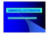 Clase 11 - Aminoglucósidos
