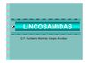 Clase 13 - Lincosamidas