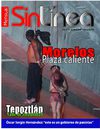 REVISTA SIN LINEA ABRIL 2010