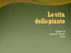 La vita delle piante