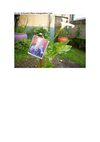 No ano de Ramón Piñeiro outorgouselle a Cala