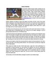 Understanding Fantasy Rankings