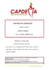 Démocafé_Laïcité et Maroc - Synthèse des interventions
