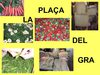 Plaça del Gra