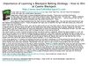 Importance of Learning a Blackjack Betting Strategy - How to Win at Casino Blackjack