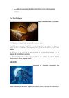 miguel/trabajo para obtar a nota/ ferran polo torres
