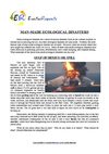 Ecological Disasters (English Topic)