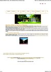 Dépliant de la SOLEIADE - Chambres d'hôtes et gîte à Gréoux les Bains - Alpes de Haute Provence