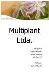 Multiplant Ltda.