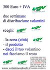 distribuzione volantini