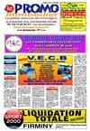 immo 07-06-2010