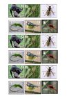 6eP5A1animaux