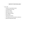 proyecto mundialero