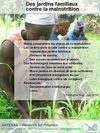 Des jardins familiaux contre la Malnutrition