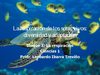 Respiración de seres vivos