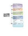 taller de informatica
