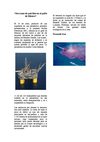 Diario Ecológico 6ºD: Valentina Núñez / Matías Doggenweiler / Fernando Soza / Matías Toro / Simón Lastra