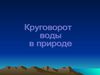 публикация Куликовой