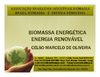 BRASIL BIOMASSA E ENERGIA RENOVAVEL - PROJETOS - ESTUDOS - BIOMASSA ENERGÉTICA