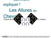 Les Allures du Cheval