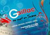 Gaillac se met en scène - Eté/Automne 2010