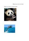 Animais em vias de extinção - professora Manuela Carneiro