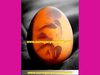 a surrogate,surrogacy india,surrogate motherhood,surogate,a surrogate mother,surrogate mothers,