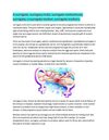 A surrogate,surrogacy india,surrogate motherhood,surogate,a surrogate mother,surrogate mothers.
