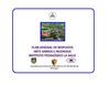 Esquemas de evacuacion