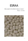 Encyclopédie du Savoir Relatif et Absolu sur l'Airsoft par Psychos