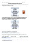 Spanish Verbs With Spelling Changes-Verbs Ending In Guir