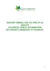 rapport annuel 2009 - SYCOMORE
