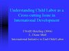 Understanding Child Labor as a Cross-cutting Issue in Internl Dev Diane Mull 2004