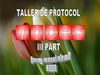 2. presentacio protocol noces (III)