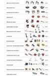 Catalogue Raimondi