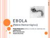 Fiebre hemorragica del Ebola