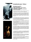 symphonie pour oshun, nouvelle creation de vincent harisdo