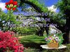  LA FLORA DE MI COLEGIO.